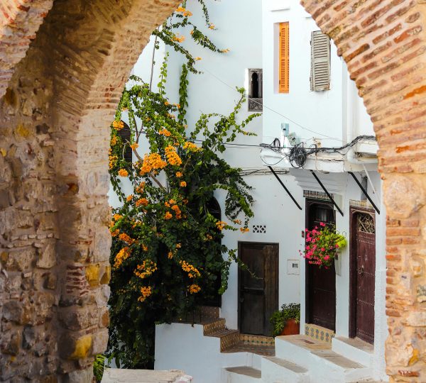 Un paseo por Tánger con los mejores guías privados es una magnífica experiencia que nuestra Agencia de Viajes pude ofrecerte