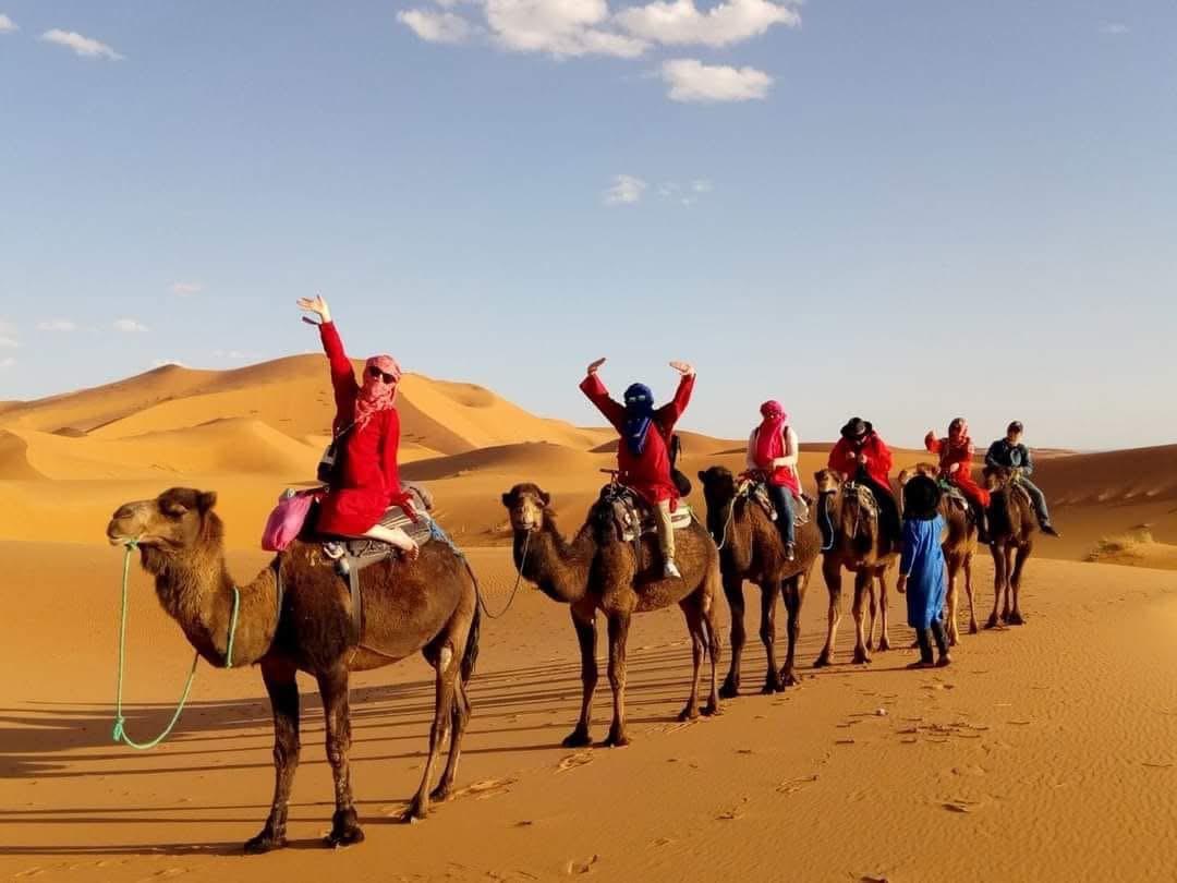Tu próxima experiencia te espera 25 Camel Trekking