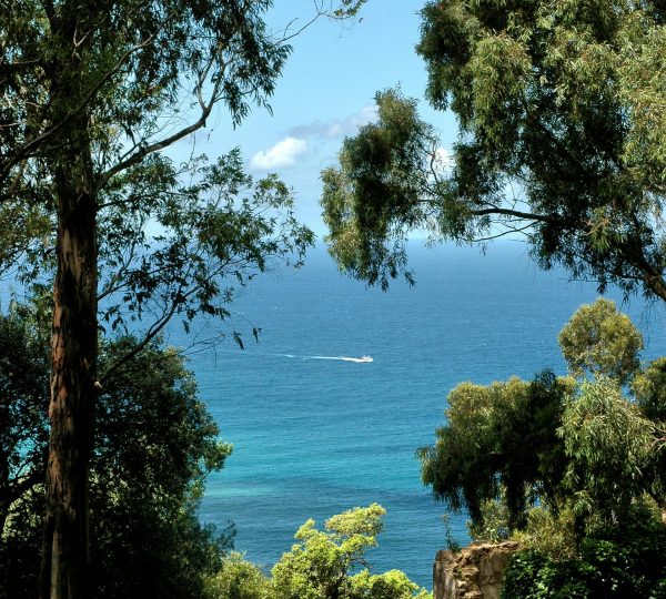 Mejor época para visitar Tánger, primavera y otoño, luz dorada. Disfrute de una experiencia de lujo en Tánger.