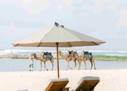 Excursiones Privadas en Tánger : Las Experiencias Más Fascinantes