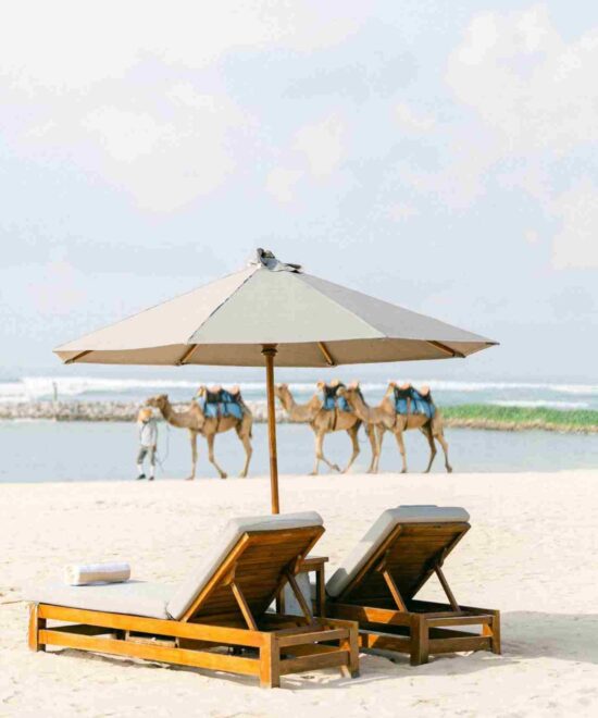 Excursiones Privadas en Tánger : Las Experiencias Más Fascinantes